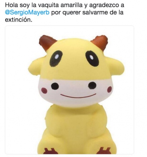 Memes de la vaquita amarilla de Sergio Mayer
