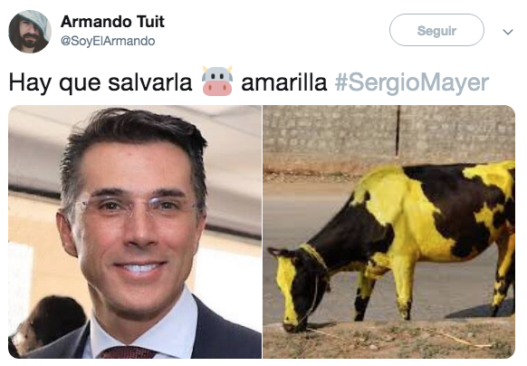 Memes de la vaquita amarilla de Sergio Mayer