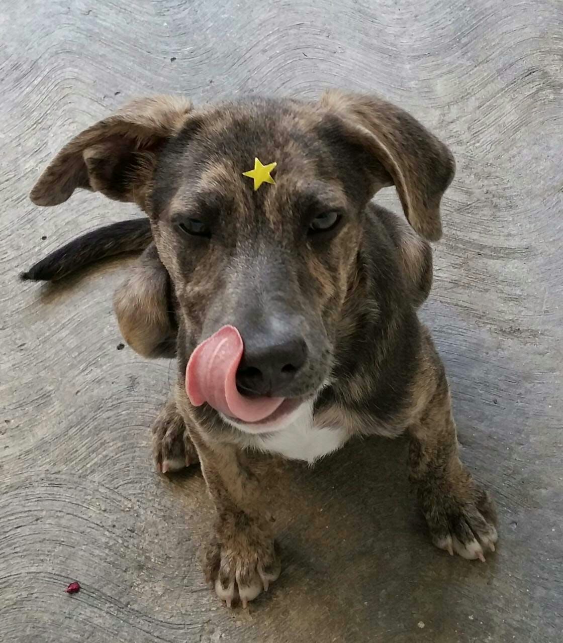 Viernes de animalitosbebé para curarte la drepresión