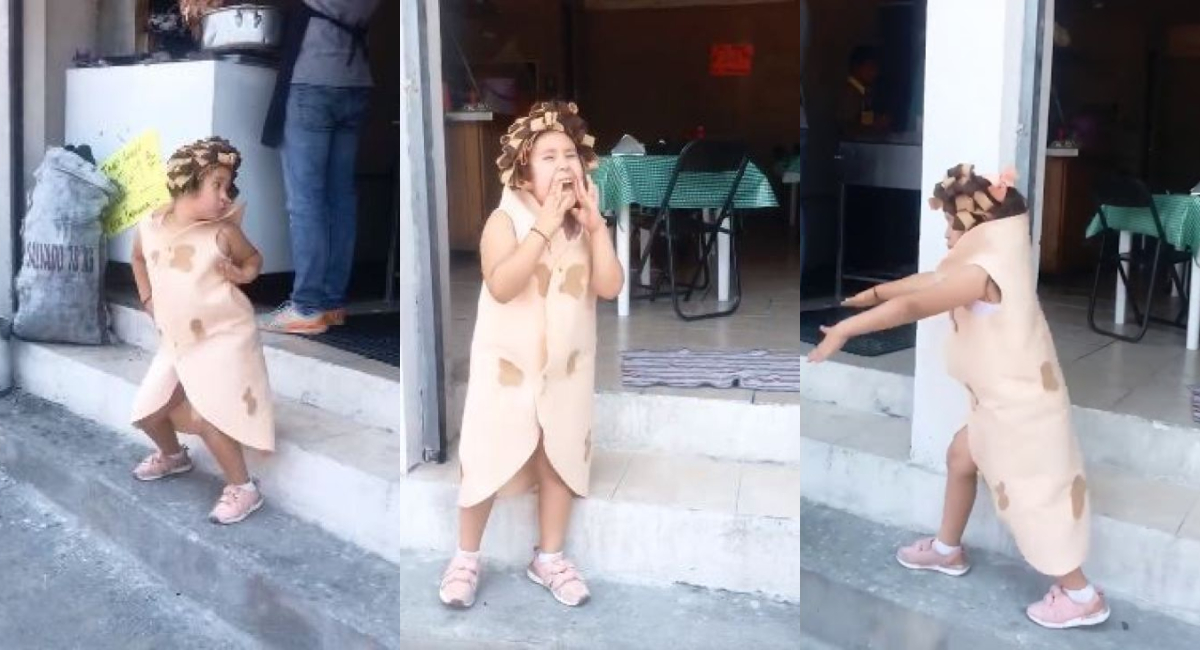 Niña Disfraz Taco Árabe, Video Niña Taco Árabe, Taco Árabe Receta, Taco Árabe Disfraz, Taco Árabe, Disfraz Taco