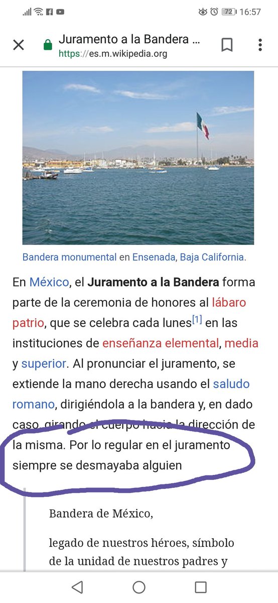Niño confunde juramento a la bandera con el Padre Nuestro