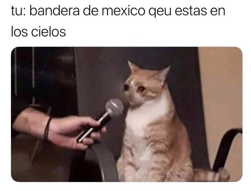 Niño confunde juramento a la bandera con el Padre Nuestro