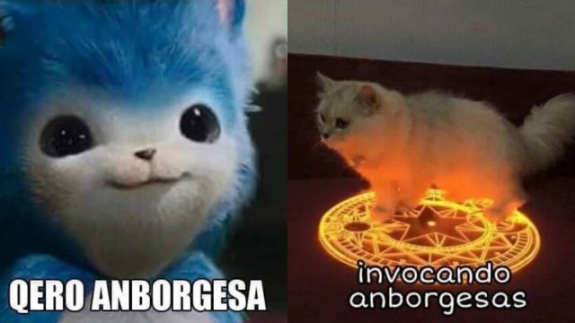 El origen y los memes del gato con su hamburguesa