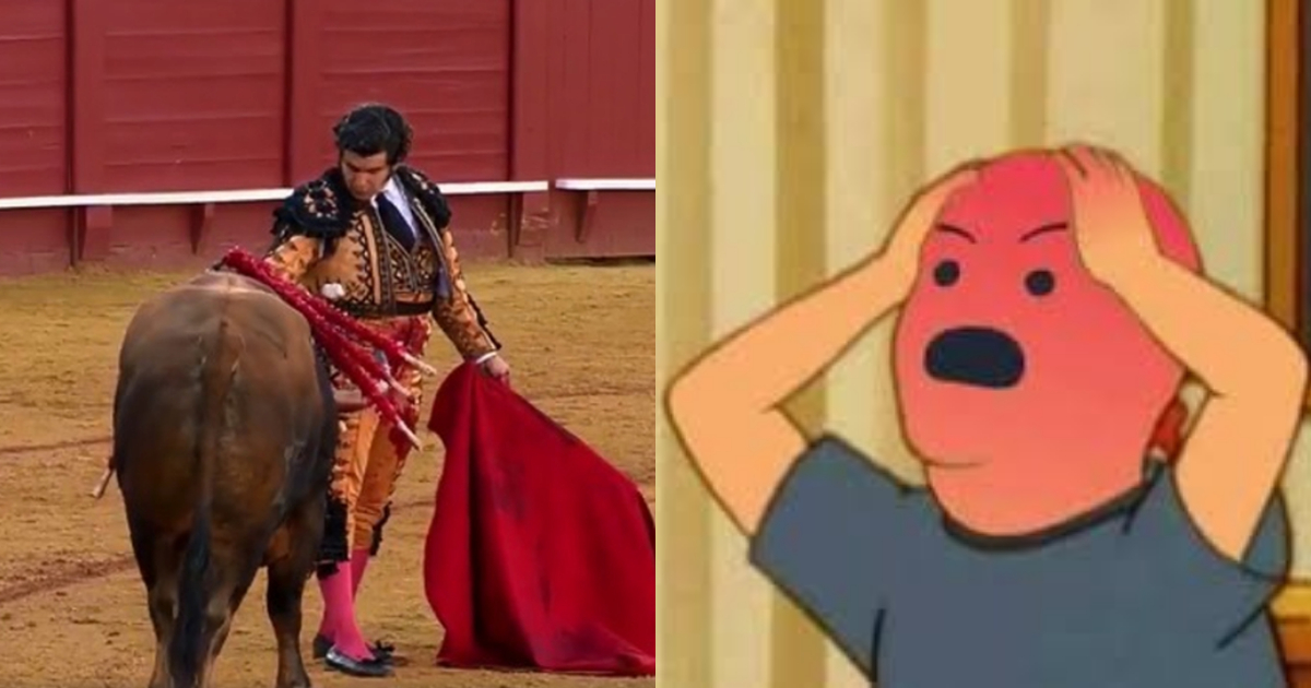 Torero Limpia Lágrimas De Toro Al Que Mató, Tauromaquia, José Antonio Morante Camacho, Torero Limpia Lágrimas Toro, Video, Torero