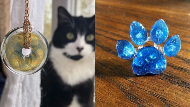 Así puedes transformar cenizas de mascotas en joyerías