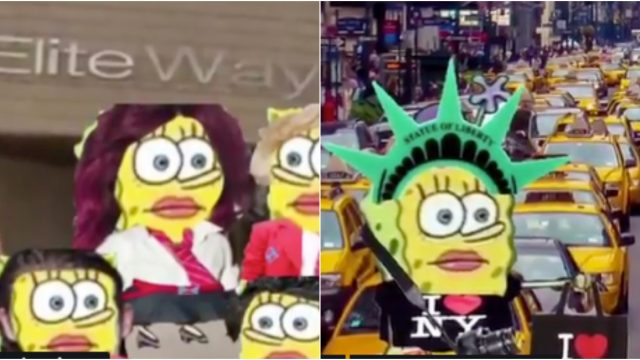 Bob Esponja Memes, Bob Esponja y Patricio, Bob Esponja