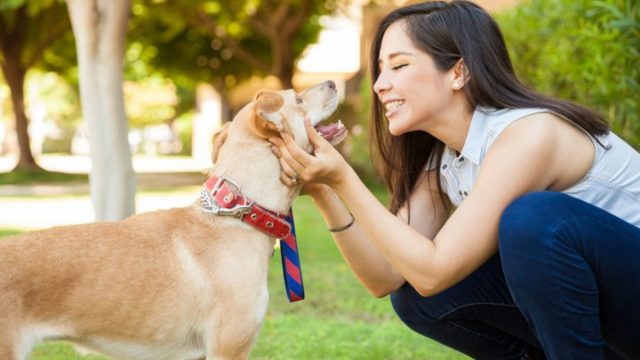OMG! Hablar con tus mascotas es un signo de inteligencia