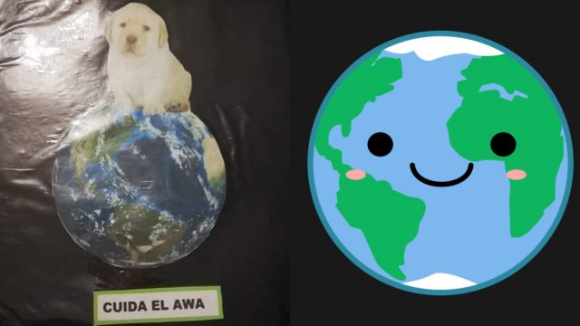 Día Mundial Medio Ambiente, Medio Ambiente, Cuidar Medio Ambiente, Cómo Cuidar, Qué Hacer Para Cuidar El Medio Ambiente, Cuidar El Medio Ambiente