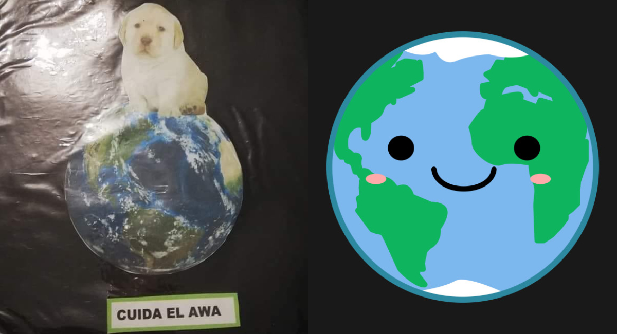 Día Mundial Medio Ambiente, Medio Ambiente, Cuidar Medio Ambiente, Cómo Cuidar, Qué Hacer Para Cuidar El Medio Ambiente, Cuidar El Medio Ambiente