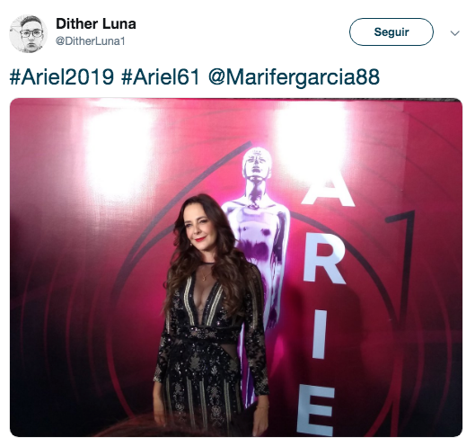 Alfombra roja premios Ariel 2019