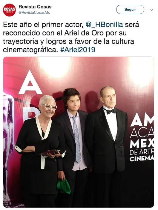 Alfombra roja premios Ariel 2019