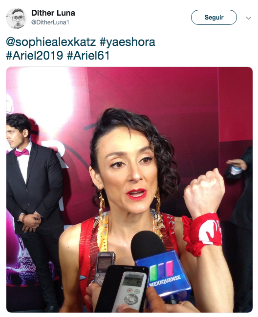 Alfombra roja premios Ariel 2019