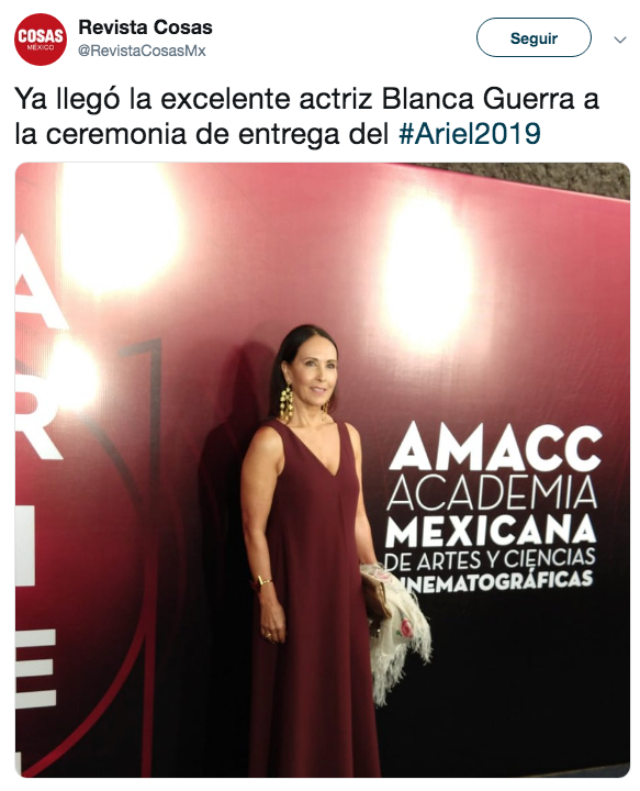 Alfombra roja premios Ariel 2019