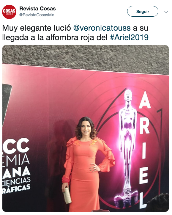 Alfombra roja premios Ariel 2019