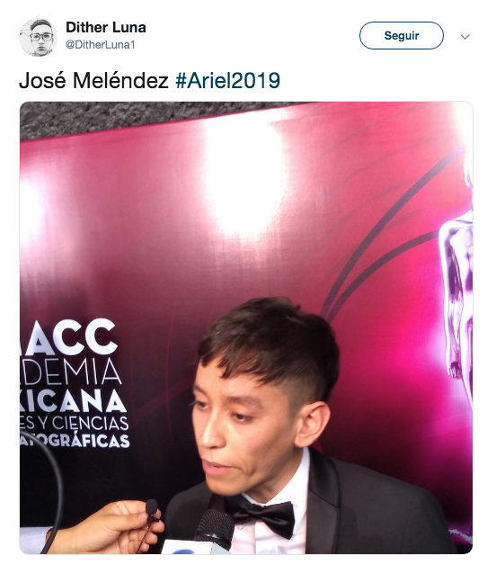 Alfombra roja premios Ariel 2019