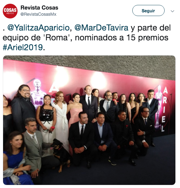 Alfombra Roja premio Ariel 2019