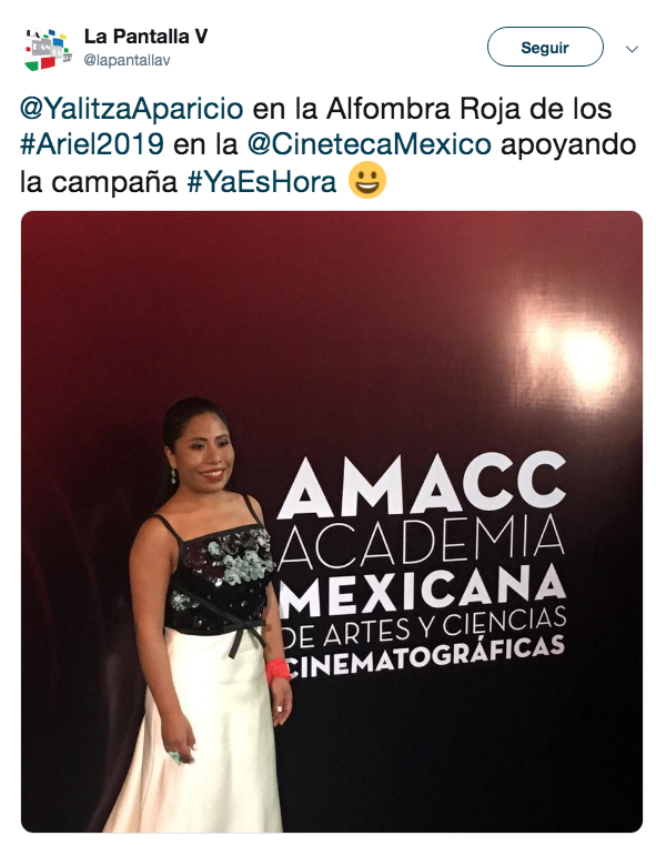 GALERÍA: Lo mejor de la alfombra roja del premio Ariel 2019