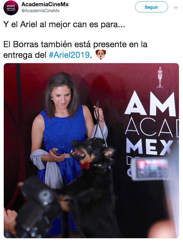 GALERÍA: Lo mejor de la alfombra roja del premio Ariel 2019