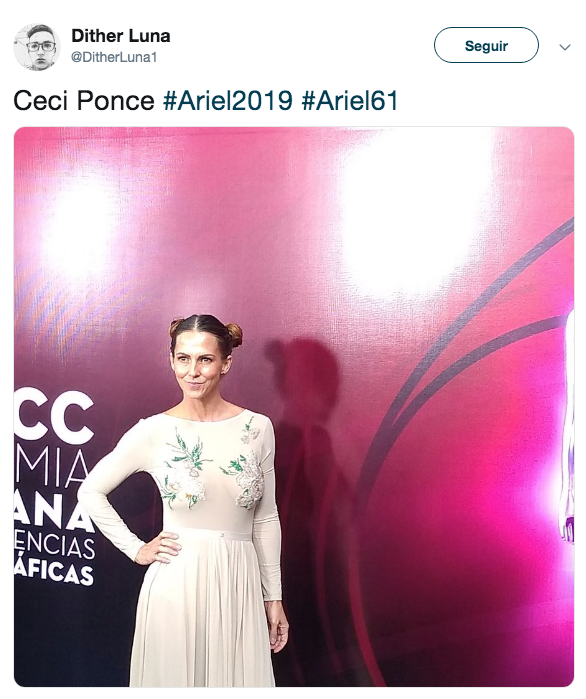 Alfombra roja premios Ariel 2019