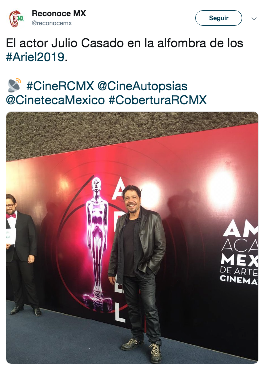 Alfombra roja premios Ariel 2019