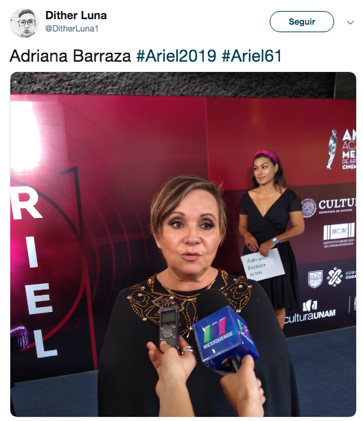 Alfombra roja premios Ariel 2019