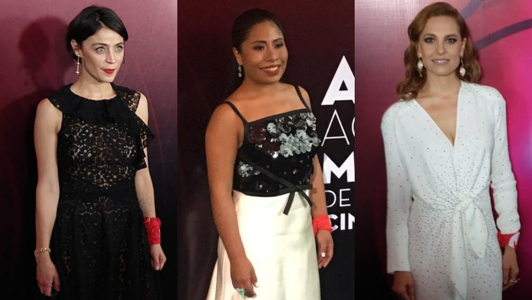 Premio Ariel 2019, Entrega Premios Ariel 2019, Premios Ariel Cineteca, Alfombra Roja, Alfombra Roja Premio Ariel 2019, Ariel 2019 Nominados