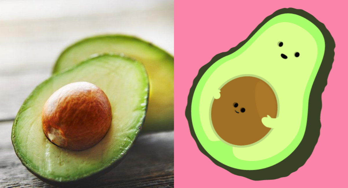 Hueso Aguacate, Hueso Aguacate Alcohol, Beneficios, Aguacate, Hueso De Aguacate Con Alcohol, Hueso De Aguacate Propiedades