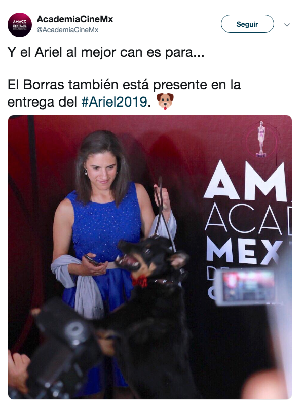 Borras gana premio Ariel al mejor pERRO