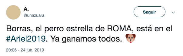 Borras gana premio Ariel al mejor perro
