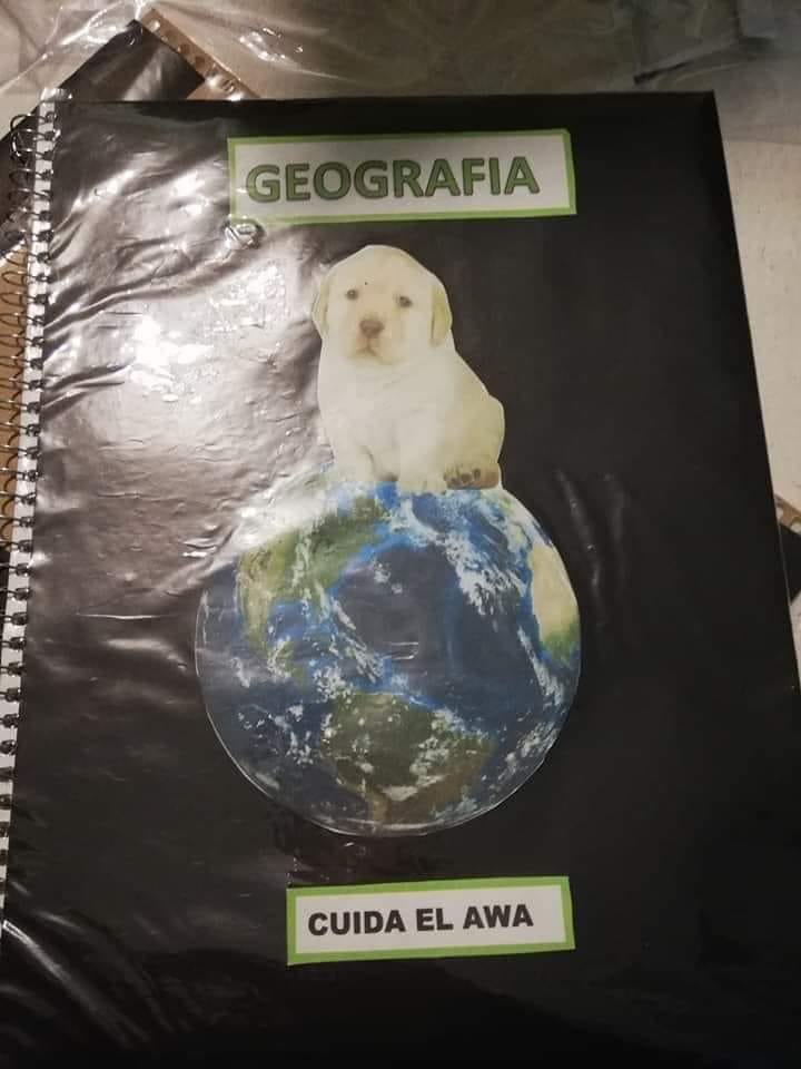 Cinco acciones para ayudar al medio ambiente