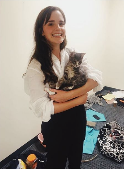 Emma Watson visitó México y estuvo en bikini en la playa