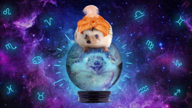 Los horóscopos del 2020 según tu signo zodiacal