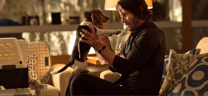 Keanu Reeves confiesa que está soltero y en espera del amor