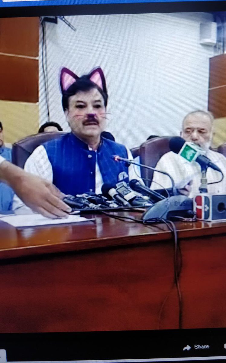 Ministro pakistaní deja filtro de gato durante transmisión oficial