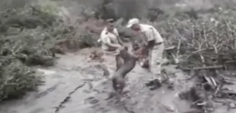 Rescatan a perrito en deslave de San Gabriel, Jalisco