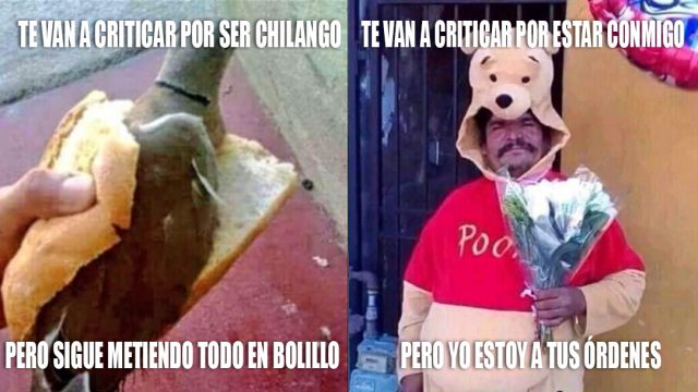 Memes Te van a Criticar por Todo, Te van a Criticar por Todo Meme, Te van a Criticar por Todo Memes, Te van a Criticar por Todo tu vive, Te van a Criticar por Todo tu vive Frases, Te van a Criticar por Todo