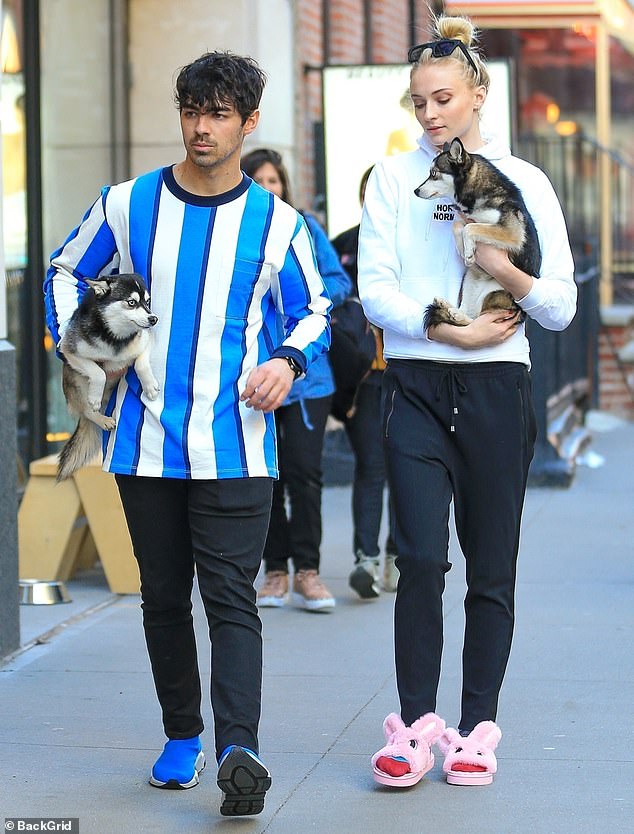 Muere atropella el perro de Joe Jonas y Sophie Turner