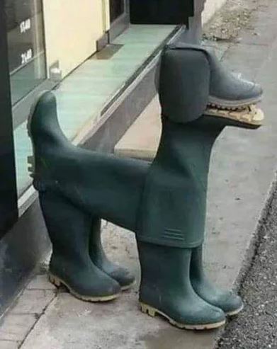 Elo Mito: recuento de videos y fotos chistosos de perros