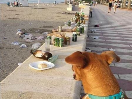 Elo Mito: recuento de videos y fotos chistosos de perros