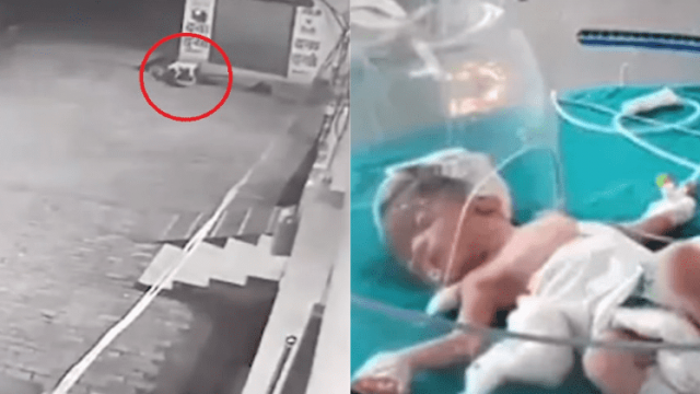 VIDEO: perros rescatan bebé abandonada en coladera callejera