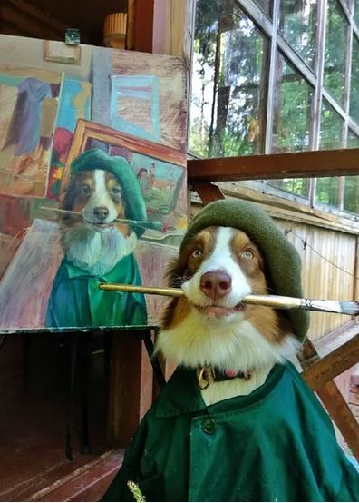 Elo Mito: recuento de videos y fotos chistosos de perros