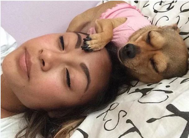 Elo Mito: recuento de videos y fotos chistosos de perros