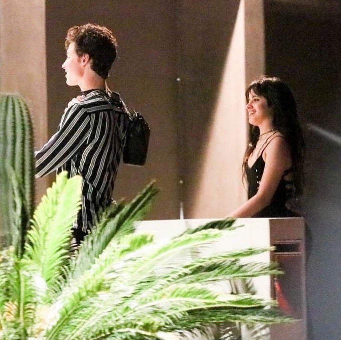 Fotos de Camila Cabello y Shawn Mendes juntos como novios
