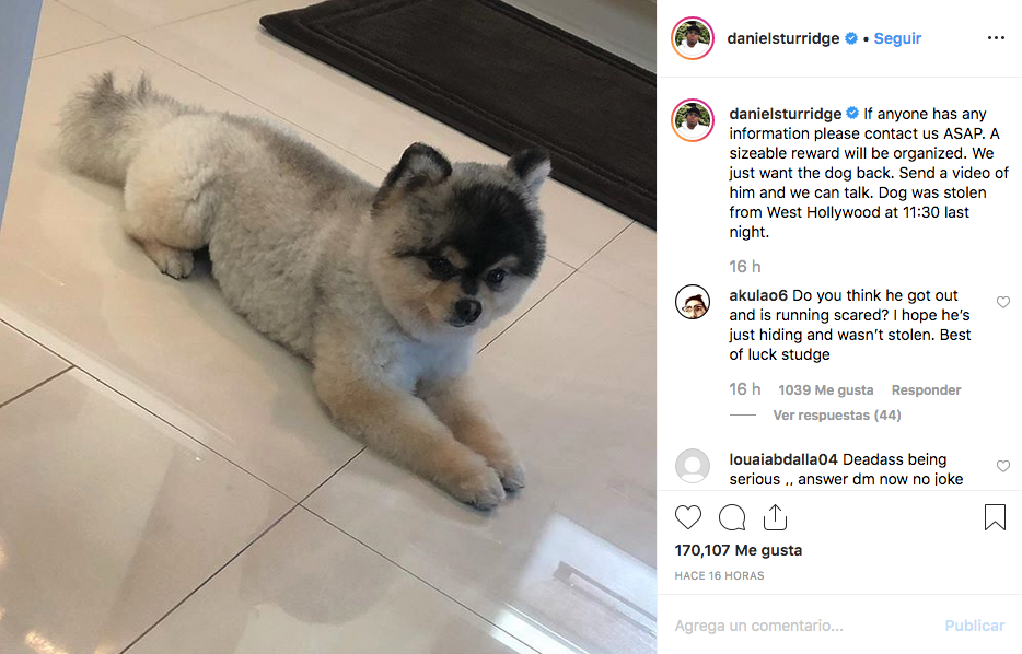Daniel Sturridge recupera a su perro robado en Los Angeles