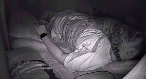 Foto: Gato trata de asfixiarlo 2. 28 de julio 2019