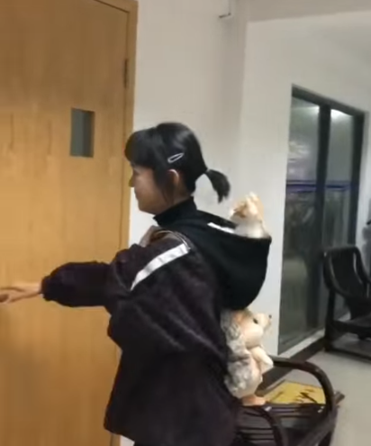 Viernes de animales: recuento semanal de videos y fotos