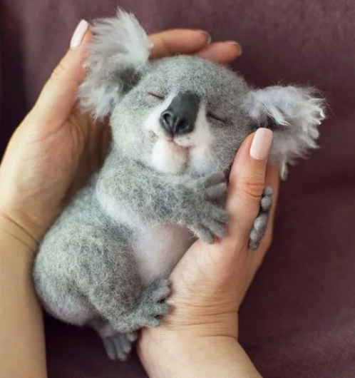 Viernes de animales: recuento semanal de videos y fotos