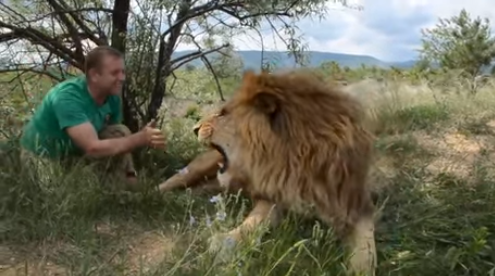 Viernes de animales: recuento semanal de videos y fotos