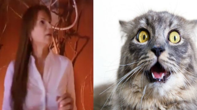 Video: Mhoni Vidente se 'espanta' en cuarto interactivo de 'Stranger Things'.