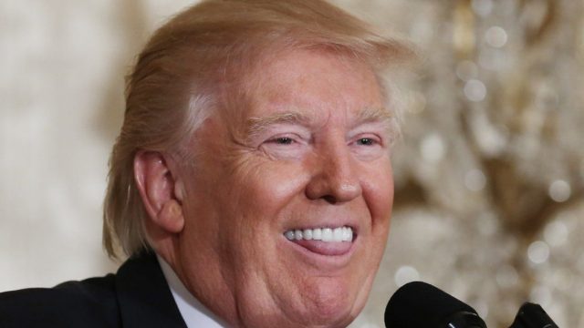 Gringos, Gringo Comiendo Tamal, Estadounidenses, Descubren, Estadounidenses Descubren Que La Hoja De Tamal No Se Come, Estados Unidos